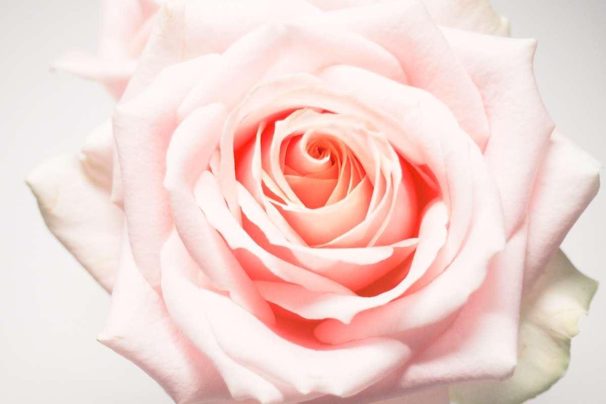 joy, fulfillment, marriage, Oh Lord Help Us, Christian, women, ministry