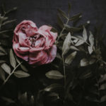 Oh Lord Help Us, repentance, blessing, faith, spiritual growth, scripture, Christian, women, ministry