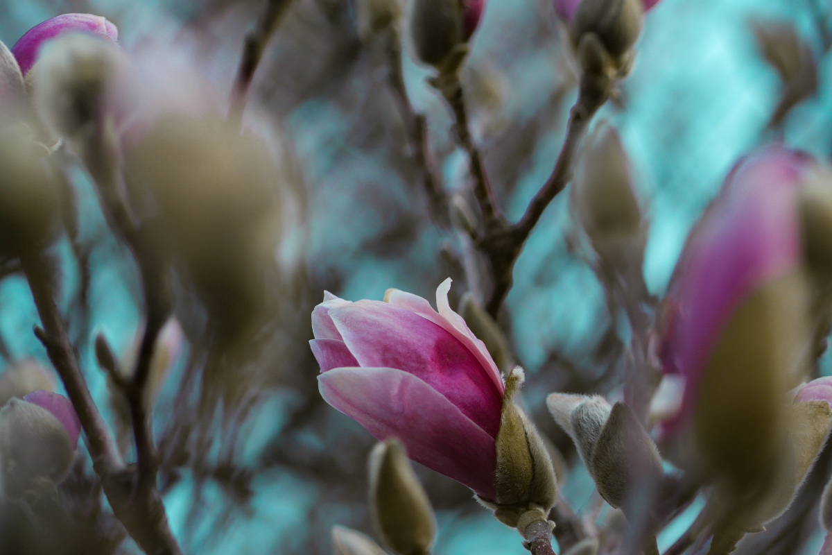 calling, purpose, Oh Lord Help Us, Christian, women, ministry, mentoring