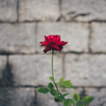 home, community, fellowship, alone, mentoring, Christian, scripture, Oh Lord Help Us