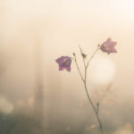 inspiration, motivation, Oh Lord Help Us, ministry, Christian, mentoring