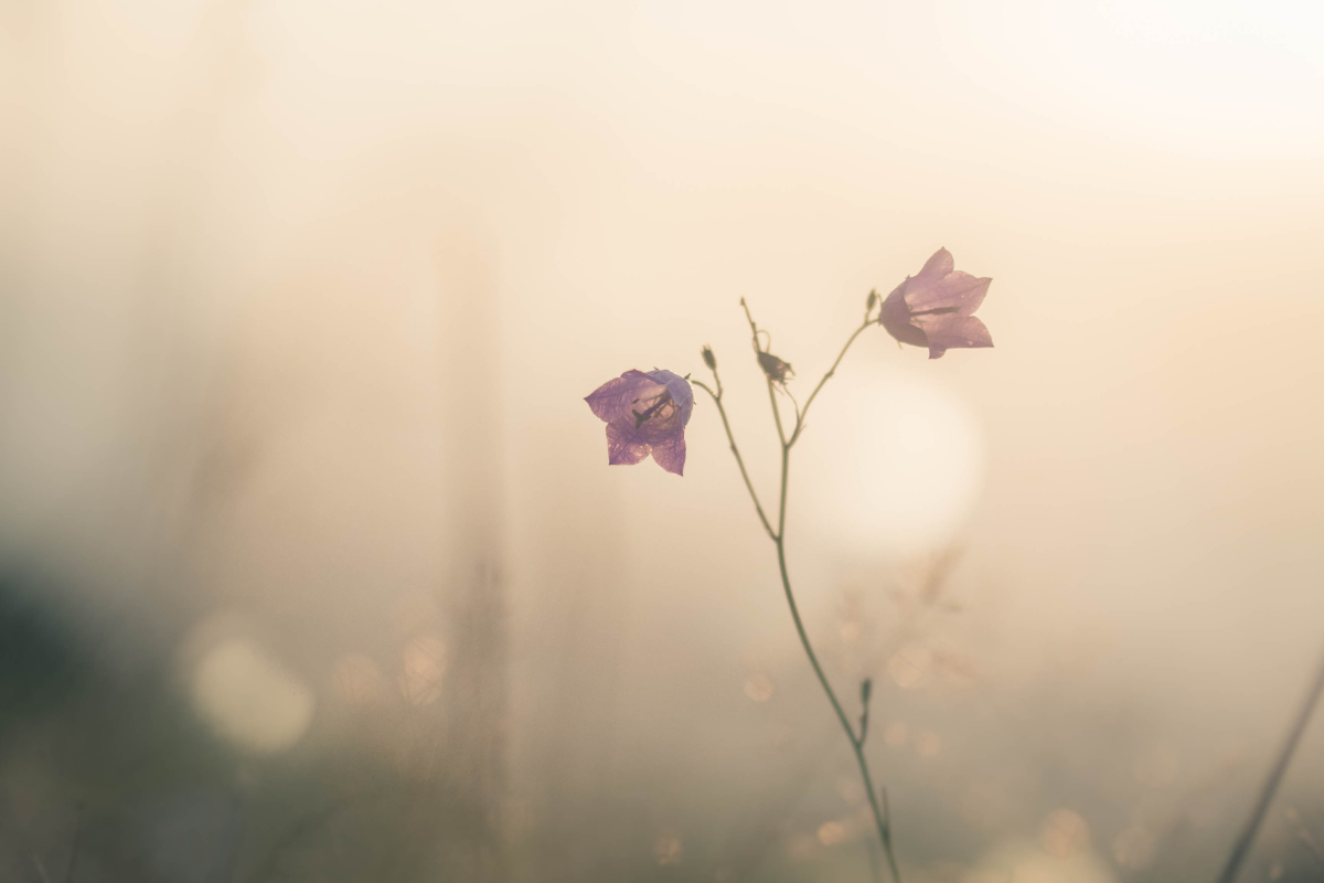 inspiration, motivation, Oh Lord Help Us, ministry, Christian, mentoring