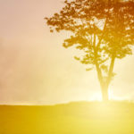 moments, time, Oh Lord Help Us, Christian, women, mentoring, ministry