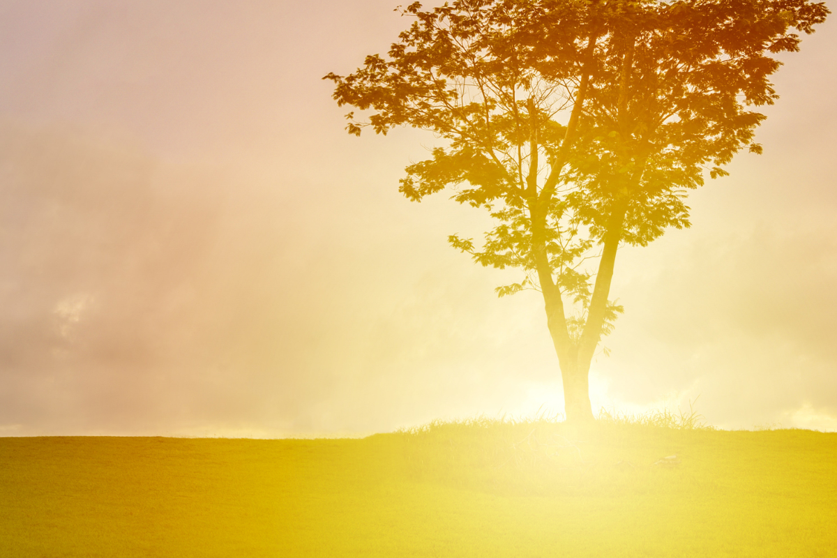 moments, time, Oh Lord Help Us, Christian, women, mentoring, ministry