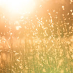 surrender, striving, Oh Lord Help Us, Christian, mentor, ministry