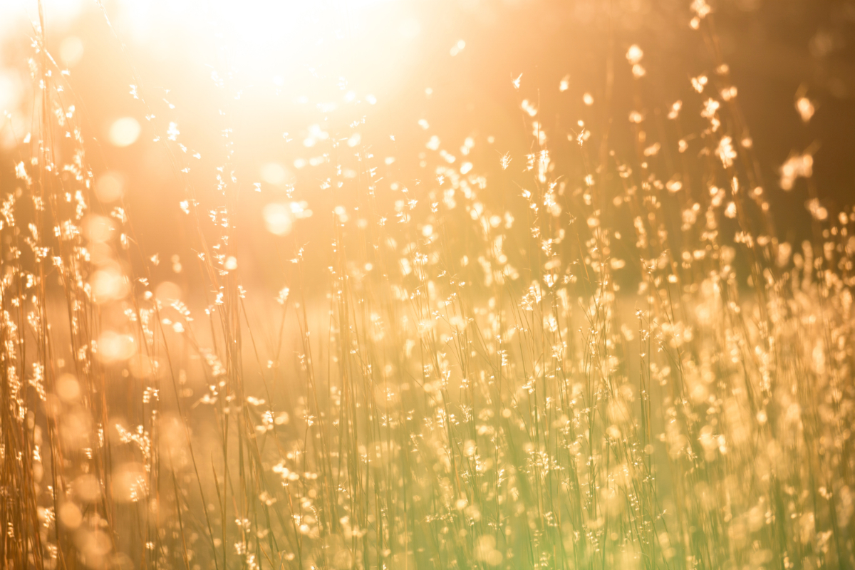 surrender, striving, Oh Lord Help Us, Christian, mentor, ministry