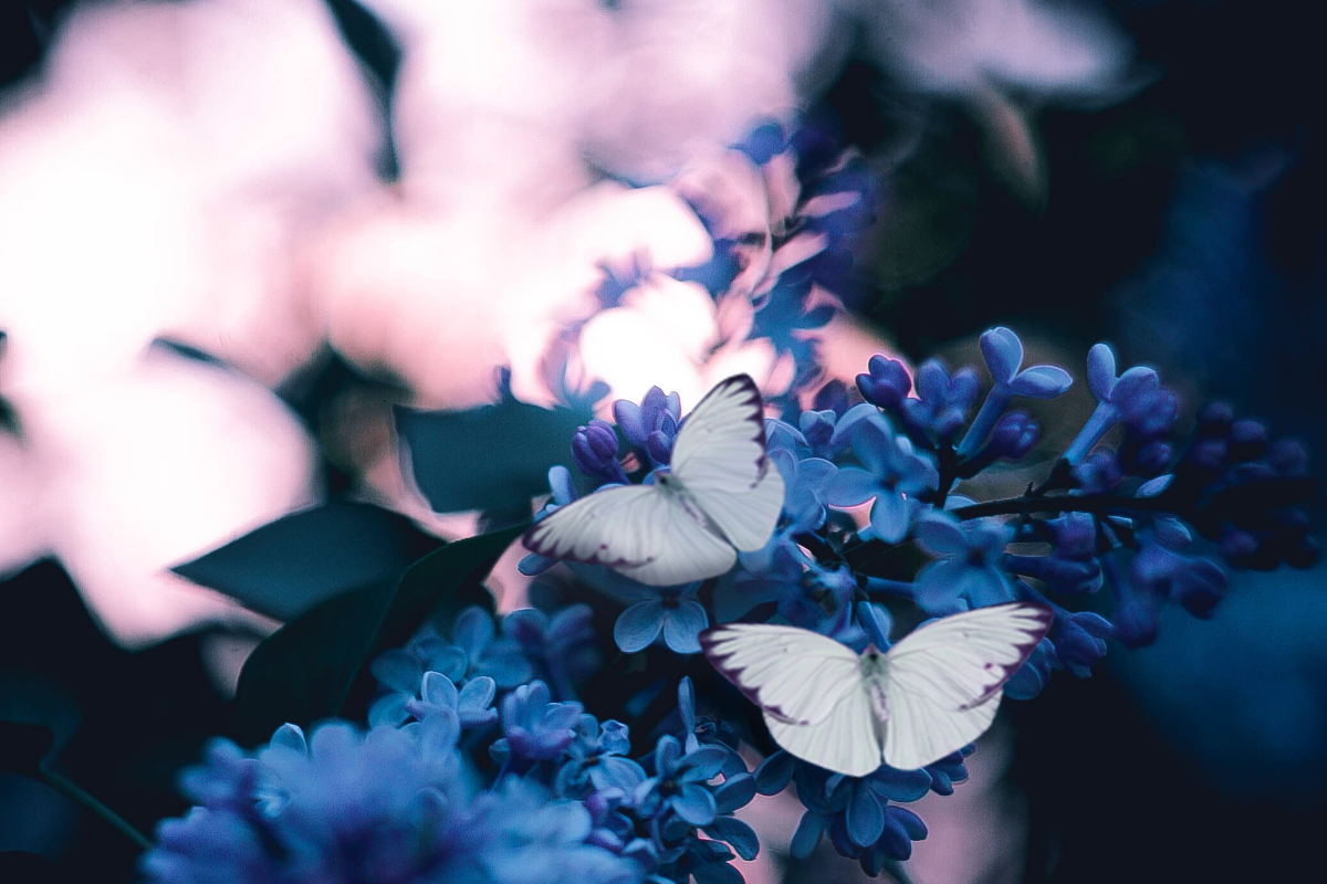 weakness, strength, Oh Lord Help Us, Christian, mentoring, scripture, ministry