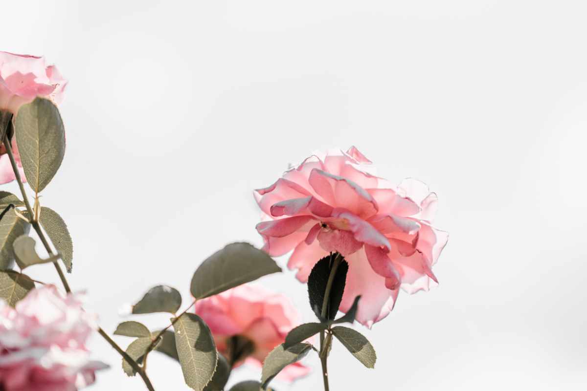 silence, meditation, quiet, Oh Lord Help Us, Christian, women, mentor, ministry