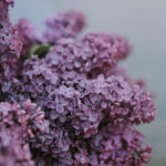 transformation, mess, Oh Lord Help Us, women, mentoring, Christian, ministry