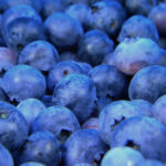 anxiety, fear, faithful, nourishment, Oh Lord Help Us, Christian, women, mentor, ministry