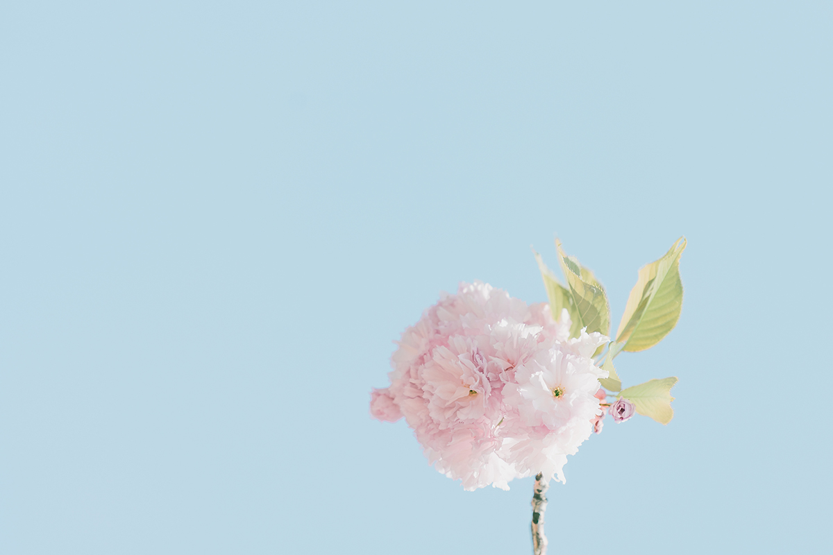 purge, build, junk, Oh Lord Help Us, Christian, women, mentor, ministry