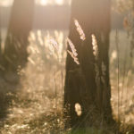 shame, sin, forgiveness, Oh Lord Help Us, Christian, women, mentor, ministry