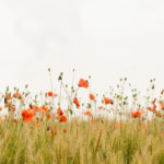 anxiety, purpose, unique, Oh Lord Help Us, Christian, women, mentor, ministry