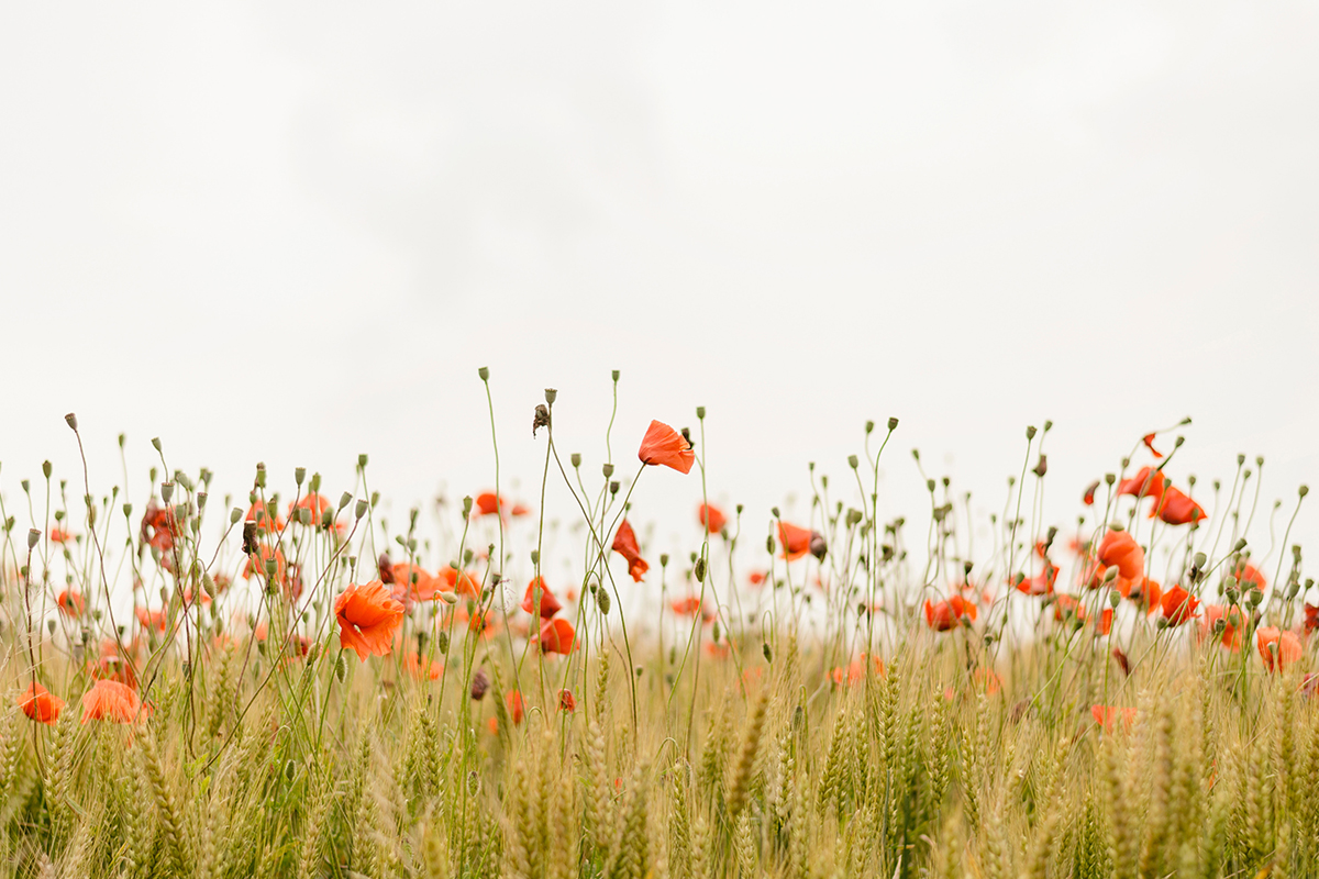 anxiety, purpose, unique, Oh Lord Help Us, Christian, women, mentor, ministry