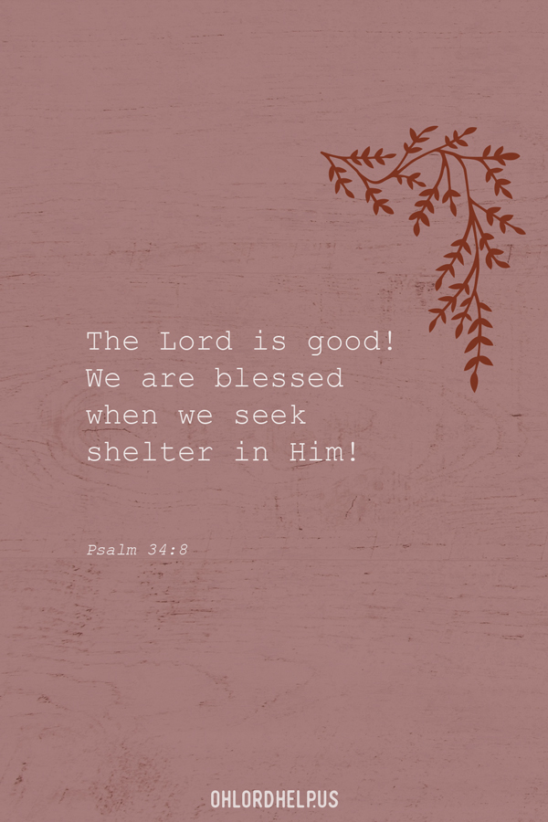 Sometimes faith is a process, or promises take a while to come true. In the place of waiting, the sweetness of the Presence of the Lord sustains us. Women of Faith | Spiritual Growth | Scripture Study | Christian Mentoring | Daily Devotional