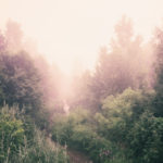 comfort, trust, Oh Lord Help Us, Christian, Spiritual Growth