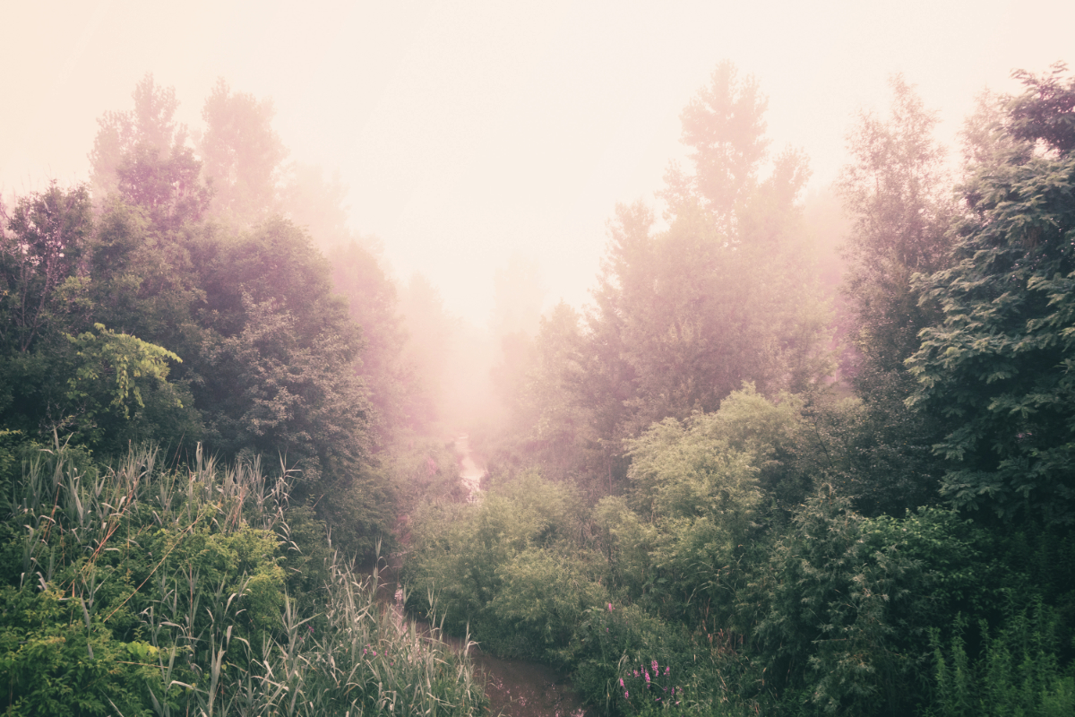 comfort, trust, Oh Lord Help Us, Christian, Spiritual Growth