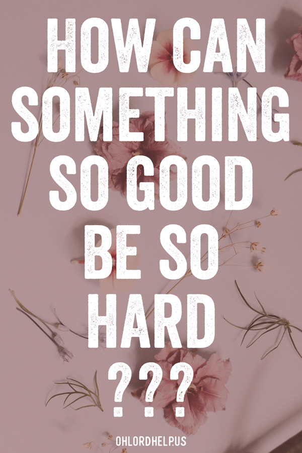 The gift of God's grace can be hard to accept. Acceptance means we are flawed and need help. But God's kindness sustains us in our weaknesses. Women of Faith | Spiritual Growth | Scripture Study | Christian Mentoring | Daily Devotional