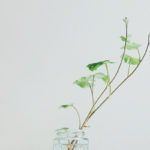 fear, oath, promise, trust, Oh Lord Help Us, Christian, women, mentor, ministry