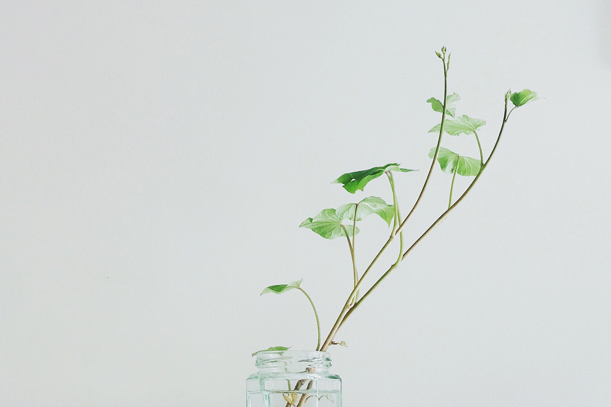 fear, oath, promise, trust, Oh Lord Help Us, Christian, women, mentor, ministry