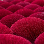 future, assurance, path, Oh Lord Help Us, Christian, women, mentor, ministry