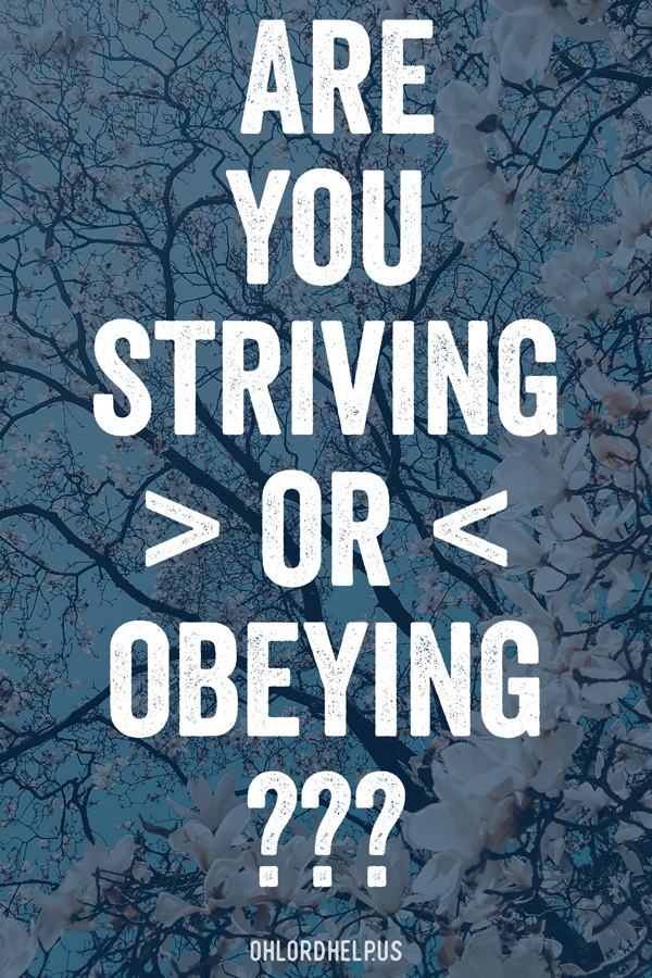 Outwardly, striving and obedience may look exactly the same. It is the posture of our hearts that determine if we are acting with confidence. Women of Faith | Spiritual Growth | Scripture Study | Christian Mentoring | Daily Devotional