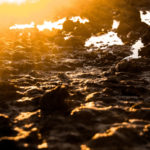 gratitude, remember, acknowledge, Oh Lord Help Us