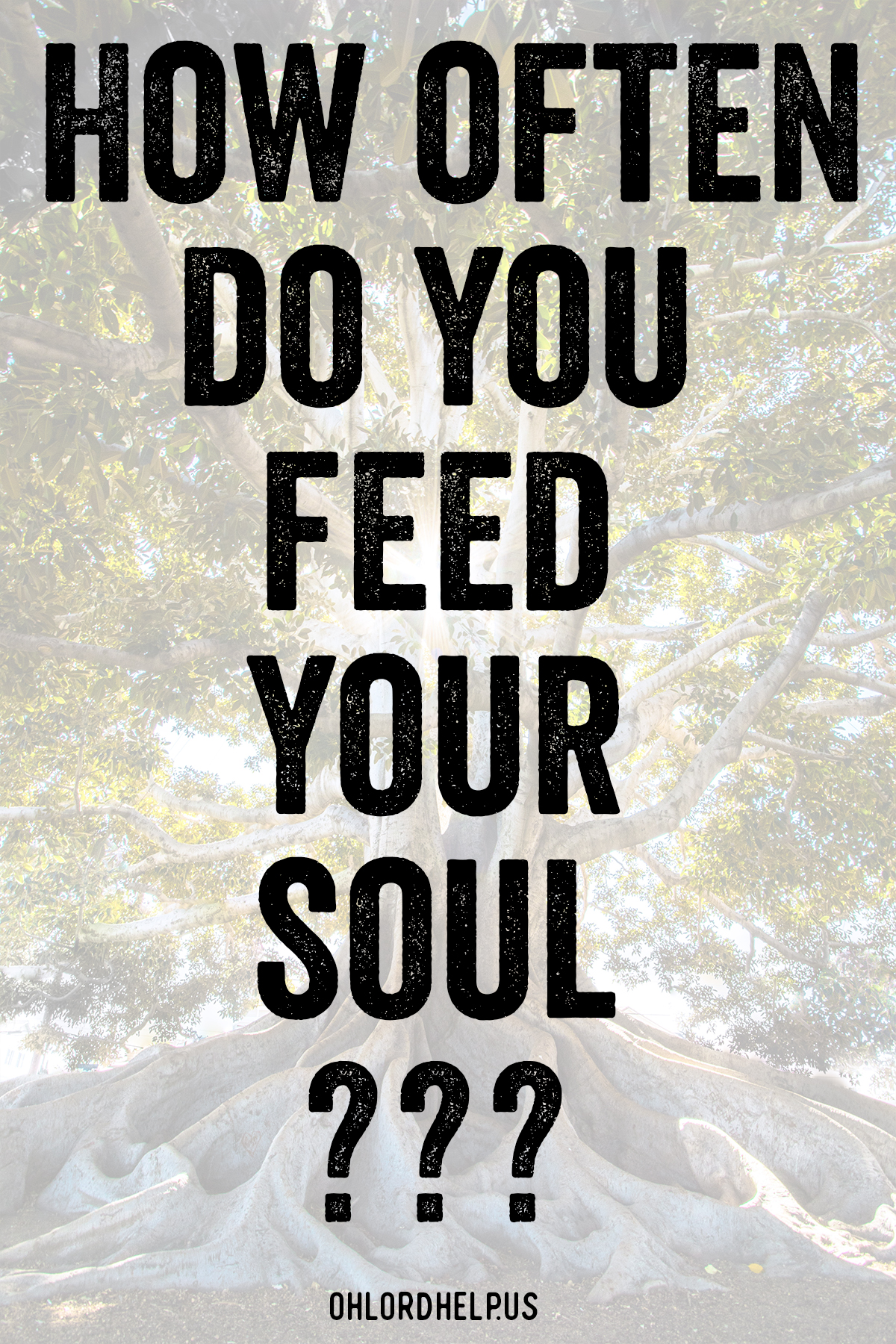It can be easy to believe that hearing God’s word at church is enough. But God allows us to draw near to Him. We can experience His presence for ourselves. Women of Faith | Spiritual Growth | Scripture Study | Christian Mentoring | Daily Devotional
