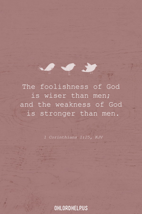 Sometimes we feel foolish when we veer away from the path that the world prescribes for our lives; but choosing to live out our calling is not foolishness. Women of Faith | Spiritual Growth | Scripture Study | Christian Mentoring | Daily Devotional