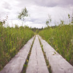 home, joy, pilgrims, Oh Lord Help Us, Christian, women, mentor, ministry