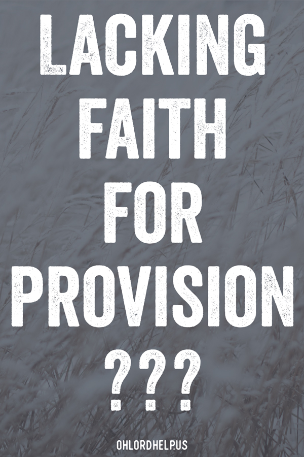 We all struggle with trusting that God will provide for our needs. What if we decided to live by faith and truly believe that He will sustain us? Women of Faith | Spiritual Growth | Scripture Study | Christian Mentoring | Daily Devotional
