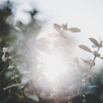 acceptance, approved, grace, salvation, Oh Lord Help Us, Christian, women, mentor, ministry