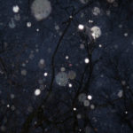 faith, perception, prayer, suffering, trust, Oh Lord Help Us, Christian, women, mentor, ministry