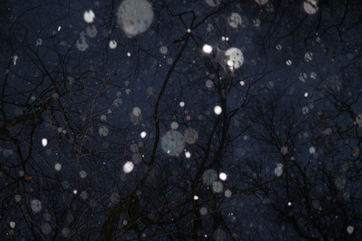 faith, perception, prayer, suffering, trust, Oh Lord Help Us, Christian, women, mentor, ministry