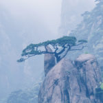 esteem, identity, proven, Oh Lord Help Us, Christian, women, mentor, ministry