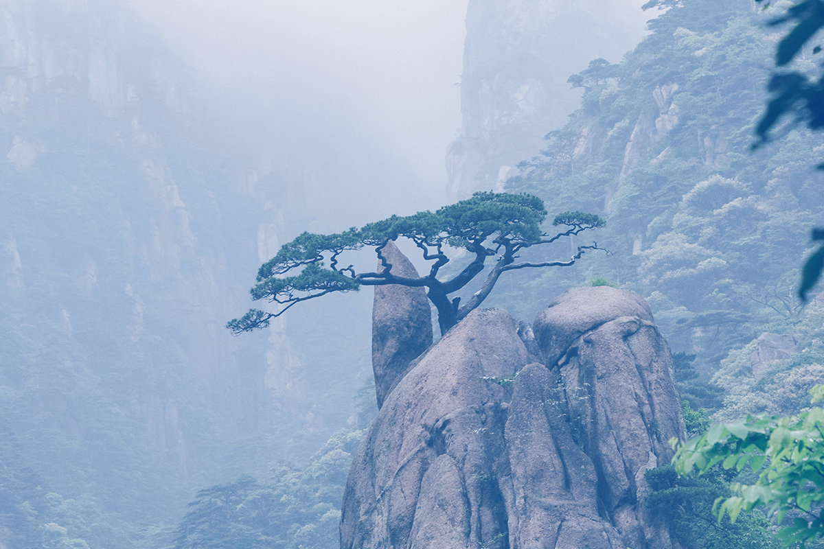 esteem, identity, proven, Oh Lord Help Us, Christian, women, mentor, ministry