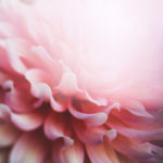 peace, darkness, still, Oh Lord Help Us, Christian, women, mentor, ministry