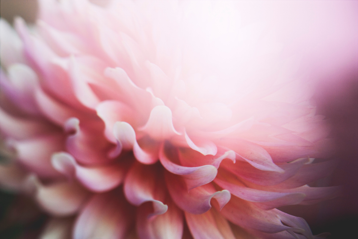 peace, darkness, still, Oh Lord Help Us, Christian, women, mentor, ministry