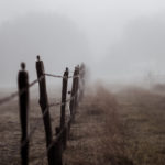 future, hope, plans, surrender, trust, Oh Lord Help Us, Christian, women, mentor, ministry