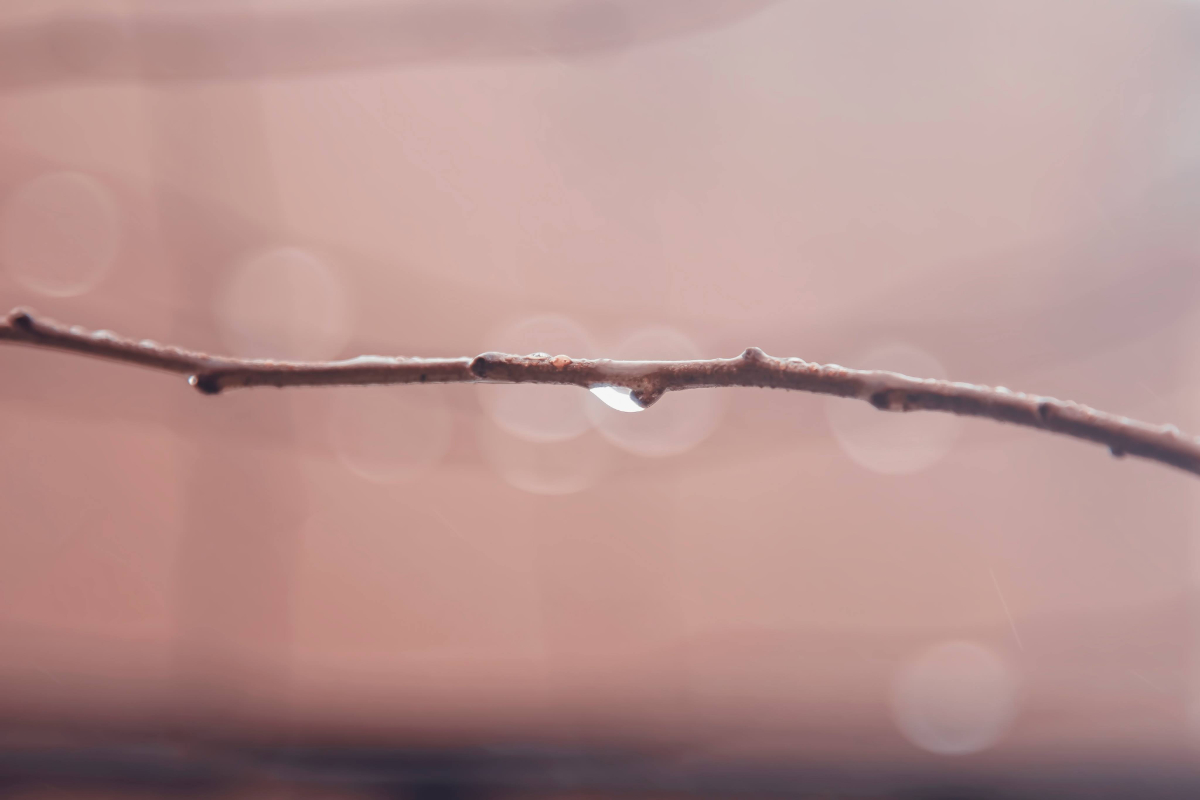 doubt, fear, vulnerable, Oh Lord Help Us, Christian, women, mentor, ministry