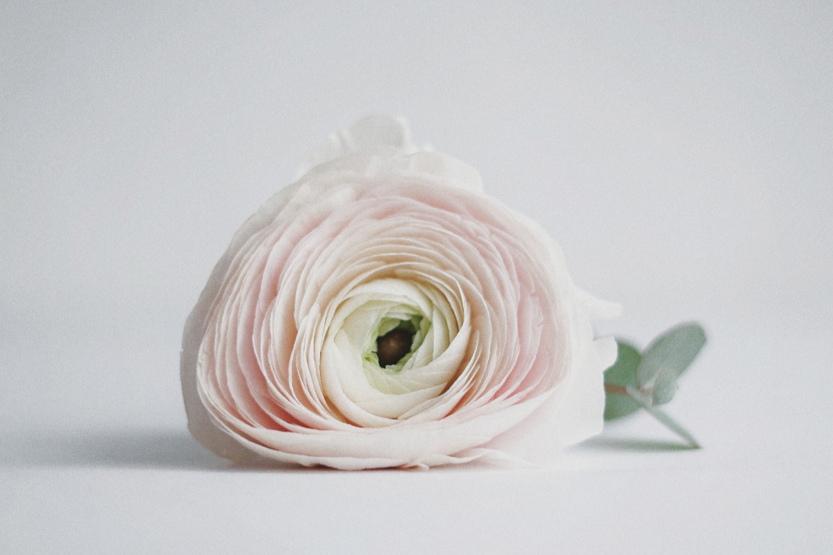 altars, past, present, promise, brokenness, sin, Oh Lord Help Us, Christian, women, mentor, ministry