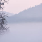 path, plans, purpose, journey, Oh Lord Help Us, Christian, women, mentor, ministry