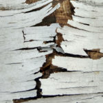 broken, beauty, pain, idols, Oh Lord Help Us, Christian, women, mentor, ministry