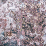 Faithful, God’s will, peace, trust, Oh Lord Help Us, Christian, women, mentor, ministry