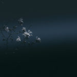 Deliverance, freedom, hope, plans, redeemed, salvation, Oh Lord Help Us, Christian, women, mentor, ministry