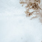 discernment, God’s guidance, peace, prayer, reckless, Oh Lord Help Us, Christian, women, mentor, ministry