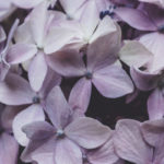 God’s call, God’s love, righteousness, communication, Oh Lord Help Us, Christian, women, mentor, ministry