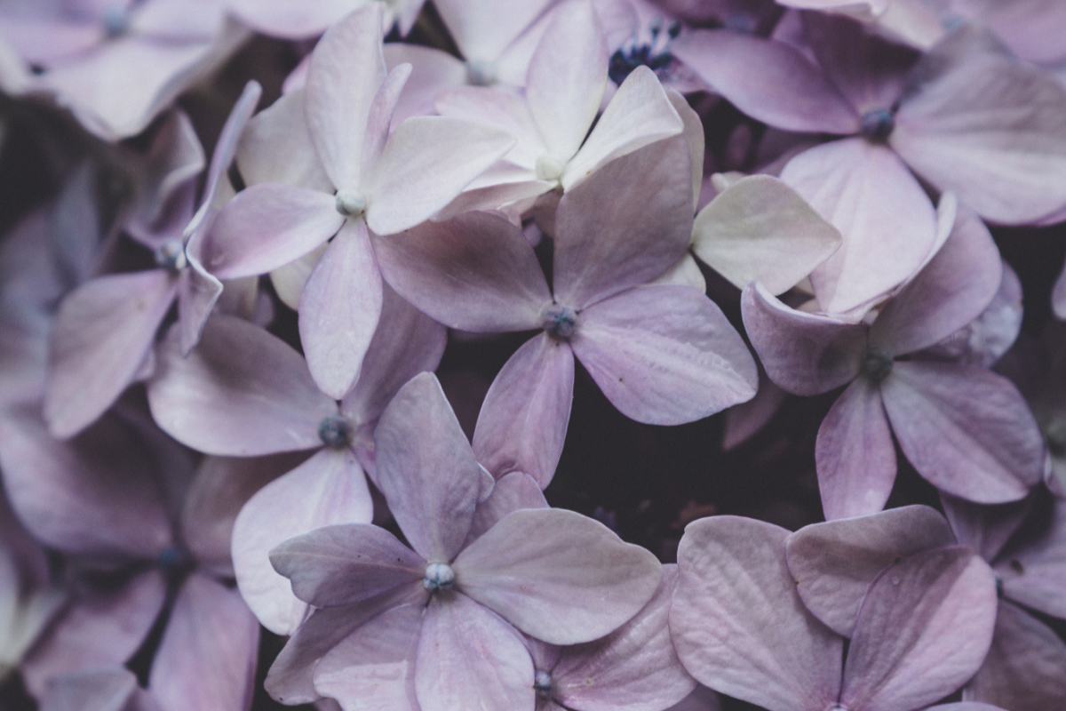 God’s call, God’s love, righteousness, communication, Oh Lord Help Us, Christian, women, mentor, ministry