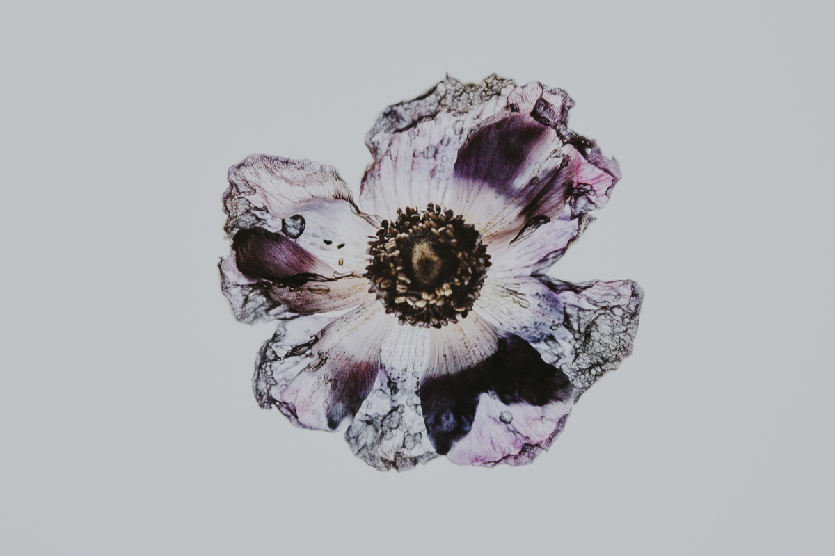 empty, God’s word, God’s love, flawless, purpose, Oh Lord Help Us, Christian, women, mentor, ministry