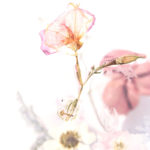 blessing, joy, praise, provision, steward, Oh Lord Help Us, Christian, women, mentor, ministry